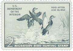 Federal Duck Stamp - Gadwall Ducks