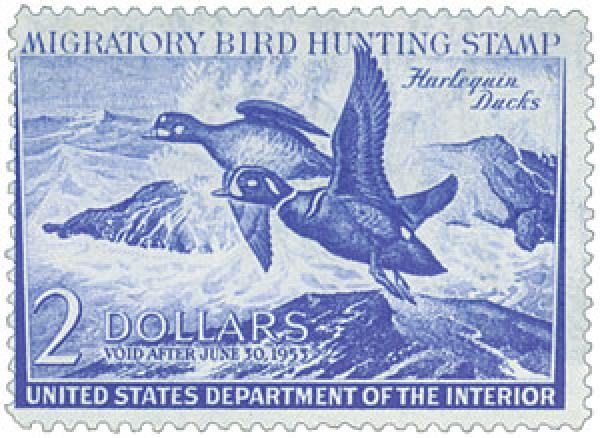 Federal Duck Stamp - Harlequin Ducks
