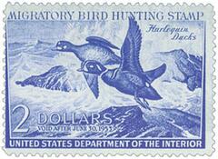 Federal Duck Stamp - Harlequin Ducks