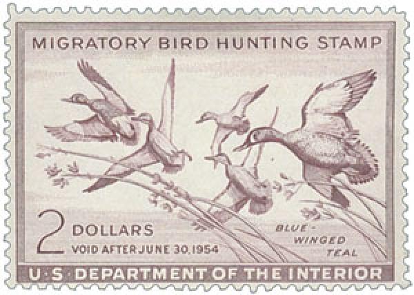 Federal Duck Stamp - Blue-Winged Teal