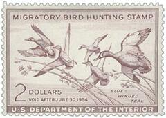 Federal Duck Stamp - Blue-Winged Teal