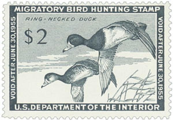 Federal Duck Stamp - Ring-Necked Ducks
