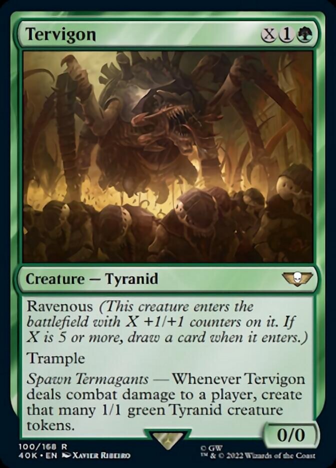 Tervigon - Surge Foil