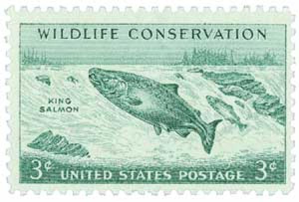 King Salmon