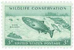 King Salmon
