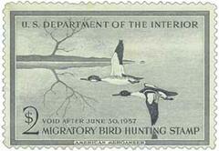 Federal Duck Stamp - American Merganser
