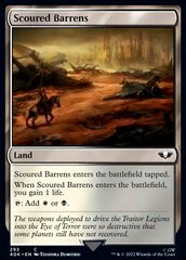 Scoured Barrens - Surge Foil