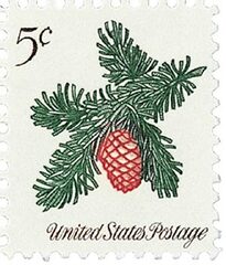 Christmas Sprig of Conifer
