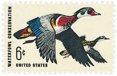 Waterfowl Conservation