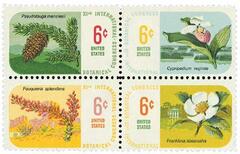 Botanical Congress