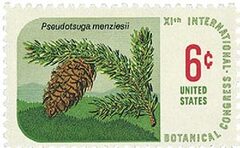 Botanical Congress: Douglas Fir