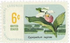 Botanical Congress: Lady's Slipper