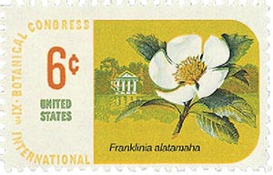 Botanical Congress Franklin Tree