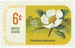 Botanical Congress Franklin Tree