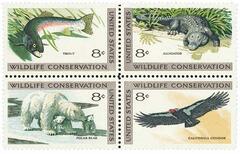 Wildlife Conservation