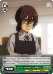 Gabi: Involuntary Witness - AOT/SX04-030 - R