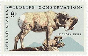 Wildlife Conservation: Bighorn Sheep
