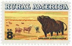 Rural America: Angus Cattle