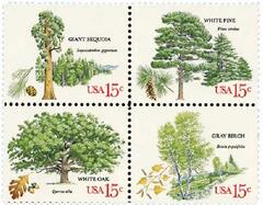 15c American Trees