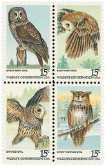 American Owls