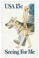 Seeing Eye Dogs
