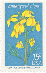 Endangered Flora: Contra Costa Wallflower