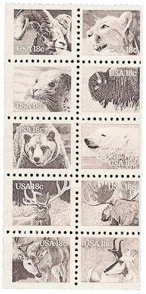 Wildlife of America