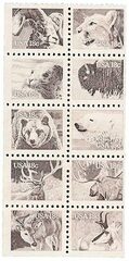 Wildlife of America