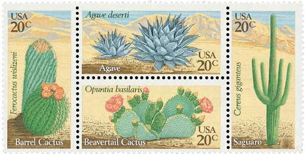 Desert Plants