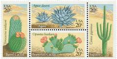 Desert Plants