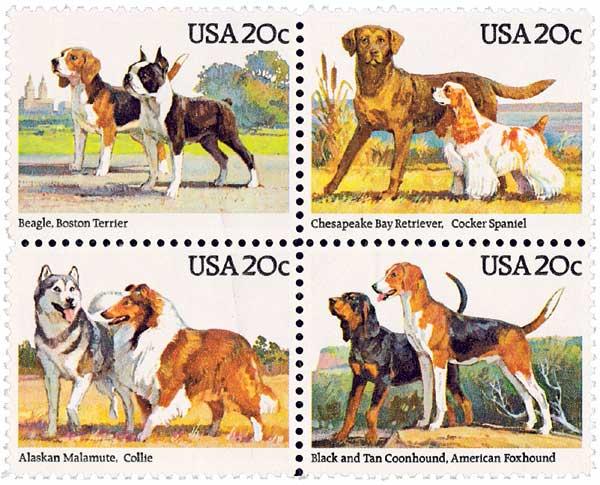 Dogs
