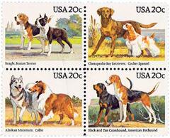 Dogs