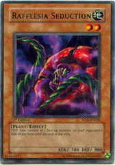 Rafflesia Seduction - SOD-EN020 - Rare - Unlimited Edition