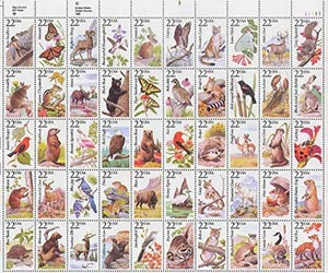 North American Wildlife