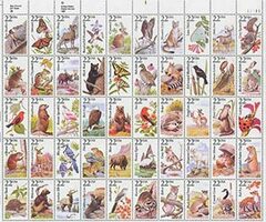 North American Wildlife