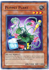 Puppet Plant - STON-EN022 - Common - Unlimited Edition