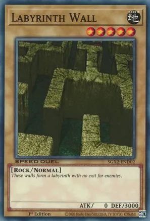 Labyrinth Wall - SGX2-END02 - Common - 1st Edition