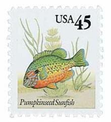 Pumpkinseed Sunfish