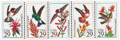 Hummingbirds