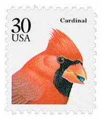 Cardinal
