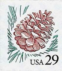 Pinecone