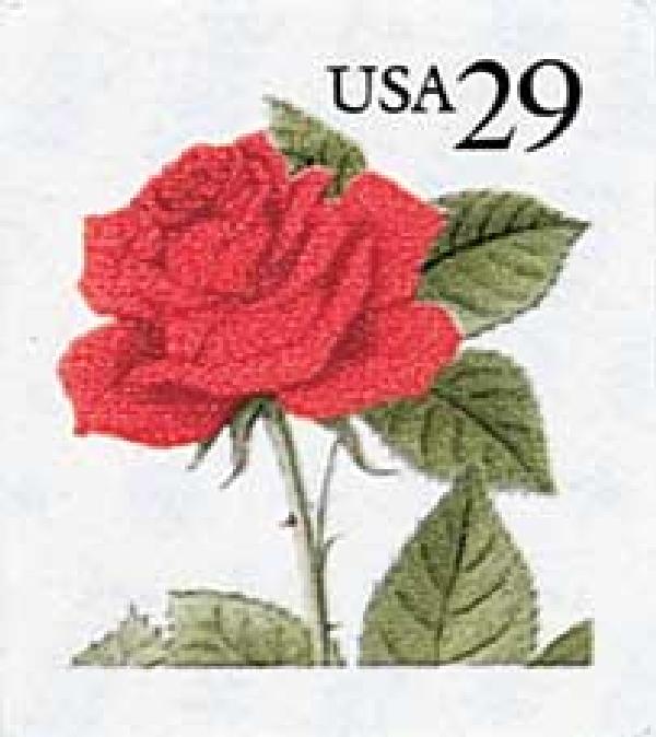 Red Rose