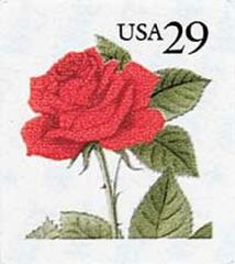 Red Rose