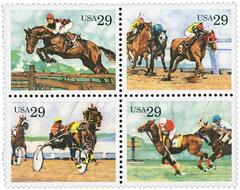 Sporting Horses