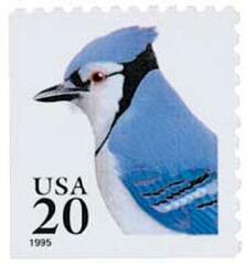 Blue Jay