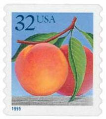 Peaches, self-adhesive coil