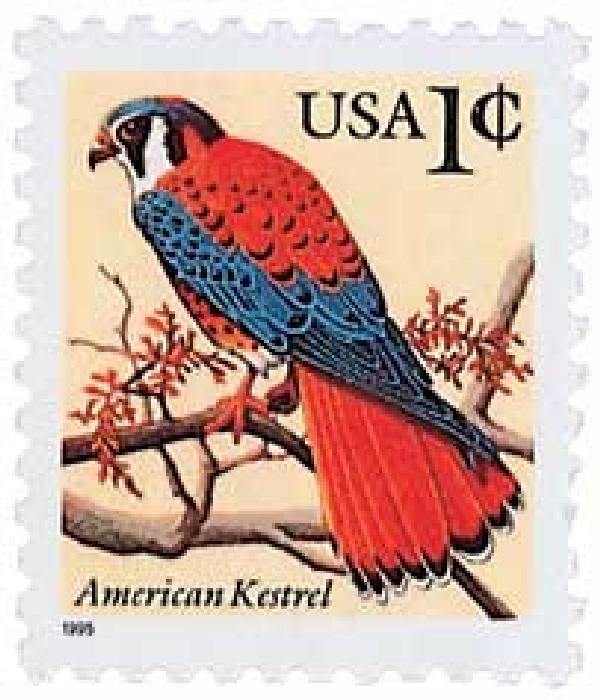 American Kestrel (cent sign)
