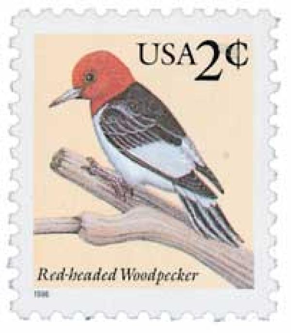 Red-headed Woodpecker