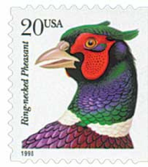 Ring-necked Pheasant, booklet single