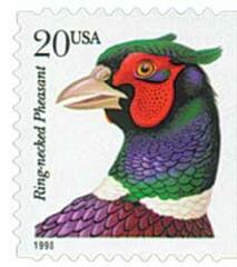 Ring-necked Pheasant, booklet single